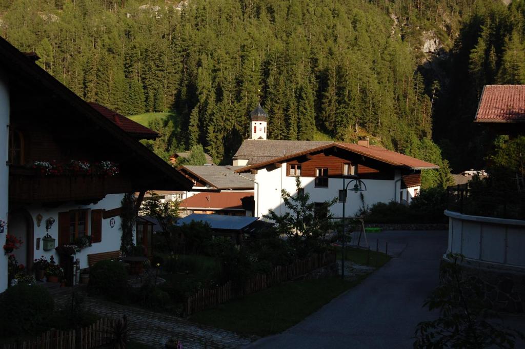 Příroda nedaleko apartmánu