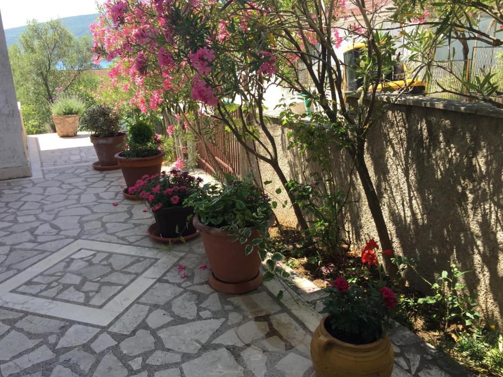 Zahrada ubytování Apartments Sijerkovic