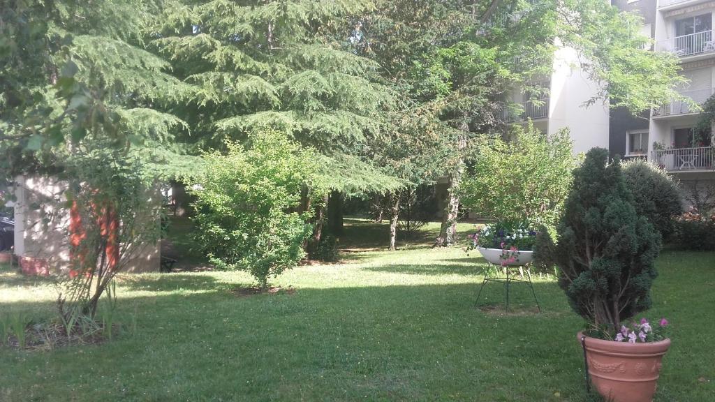 a yard with two potted trees and a house at L&#39;appartement du Haut Plessis in Blois