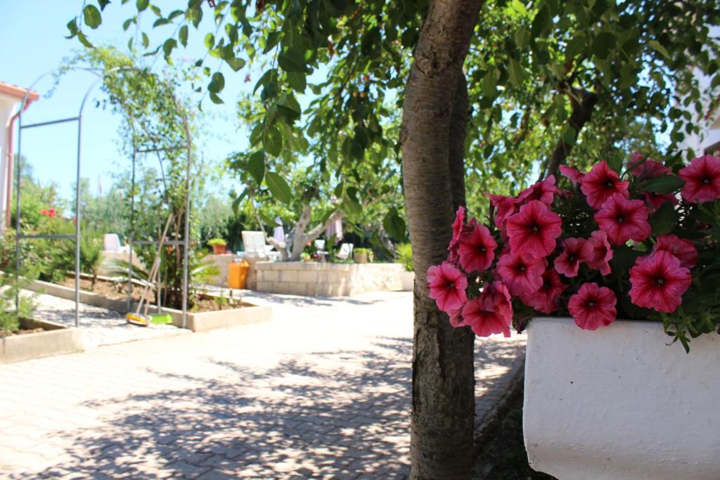 Zahrada ubytování I Sapori Del Gargano