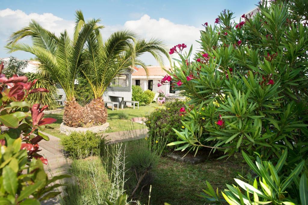 un jardin avec un palmier et quelques plantes dans l'établissement Motel Saint Georges d'Oléron, à Saint-Georges-dʼOléron