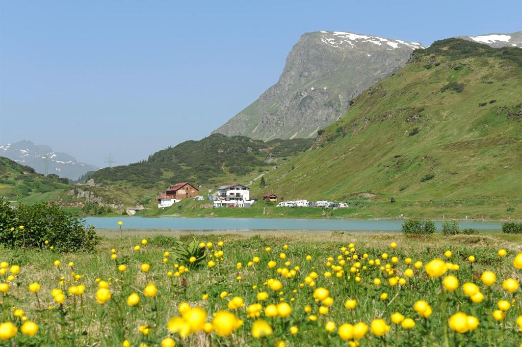 a field of yellow flowers in front of a mountain at Haus Zeinissee in Galtür