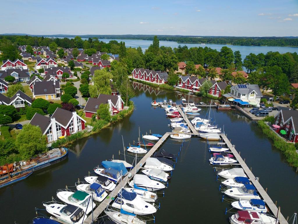 Eine Gruppe von Booten liegt in einem Hafen vor Anker. in der Unterkunft Ferienpark Scharmützelsee in Wendisch Rietz