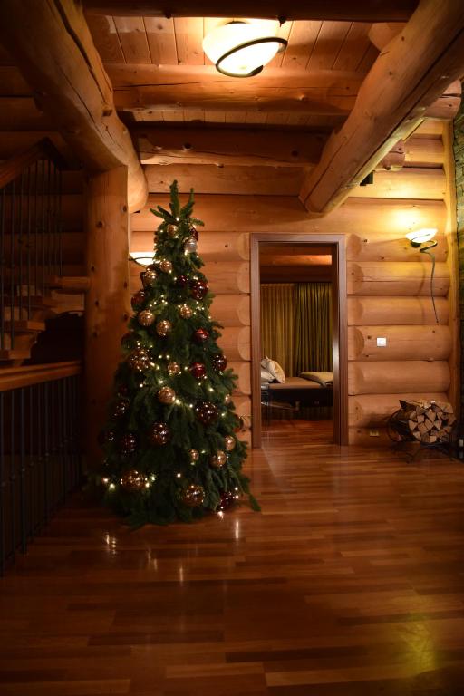 Foto dalla galleria di Chalet Caprea a Bad Kleinkirchheim