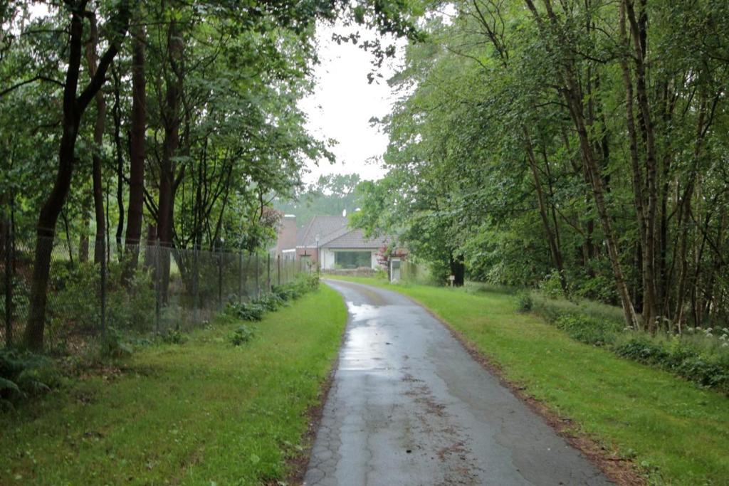 a wet road with trees and a house in the distance at Ferienwohnung Huus ton witten Barg in Undeloh