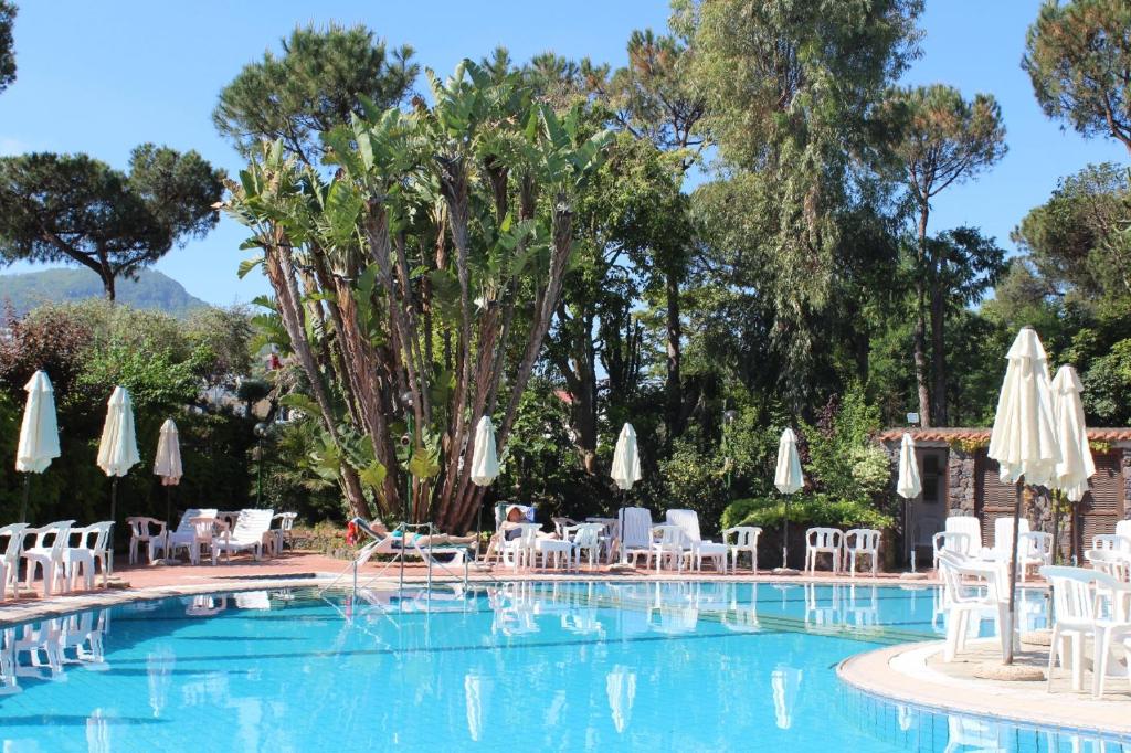 Bazén v ubytování Hotel Pineta nebo v jeho okolí