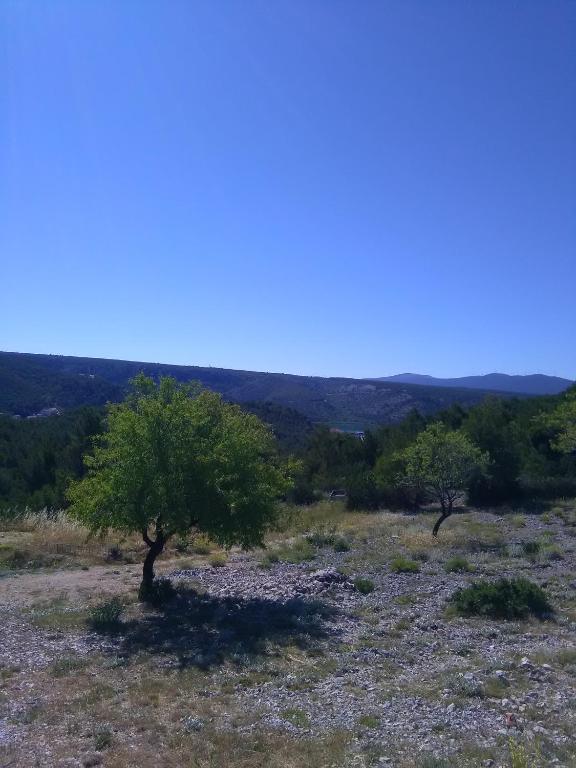 Panorama Apartments - 2