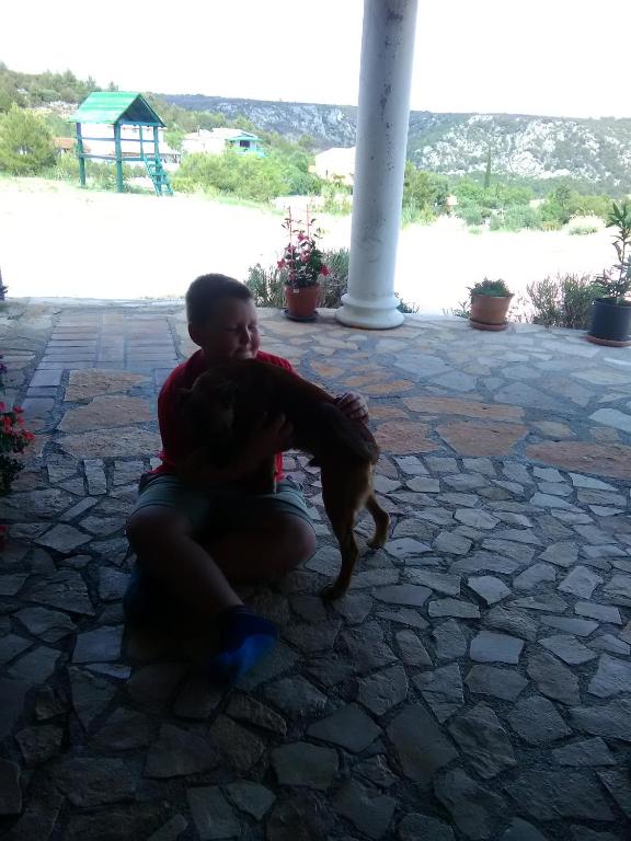 Panorama Apartments - 1