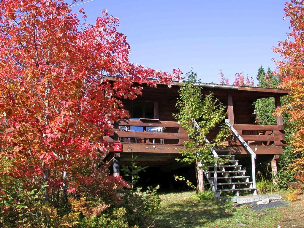 Zahrada ubytování Vipilodge