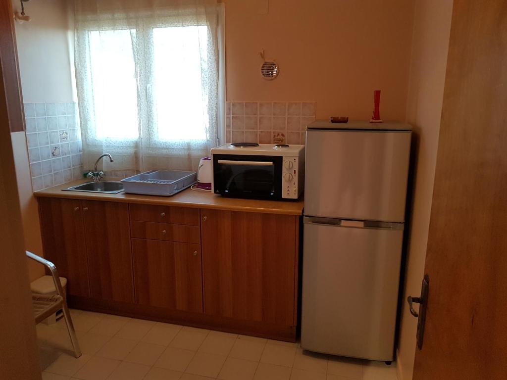 Kuchyň nebo kuchyňský kout v ubytování Alexia Ferentinou