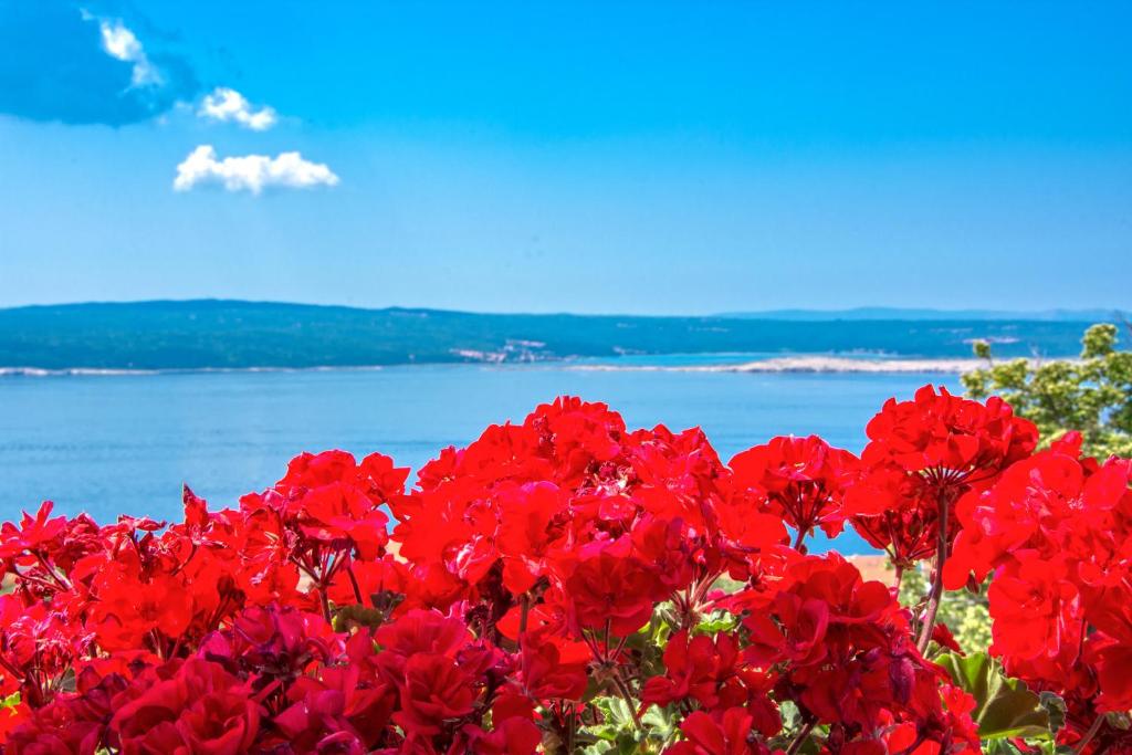 Příroda nedaleko penzionu