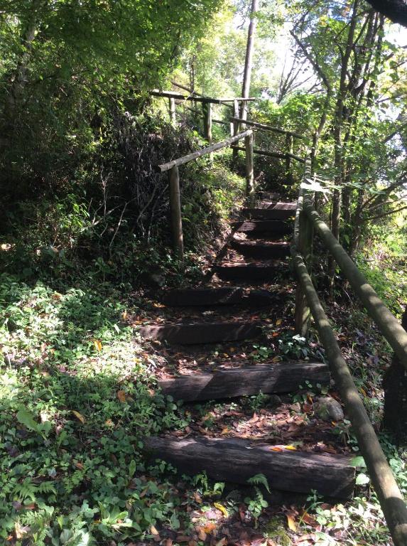 a set of stairs in a forest with trees at Oogi Onsen Oogiso in Minamioguni