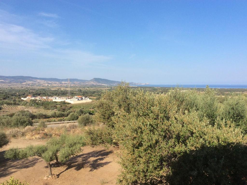 widok na pustynię z drzewami i ocean w obiekcie Casa Vacanze Residence I delfini w mieście Badesi