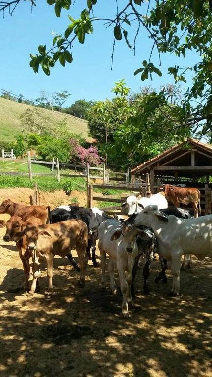 Sitio Canto Alegre