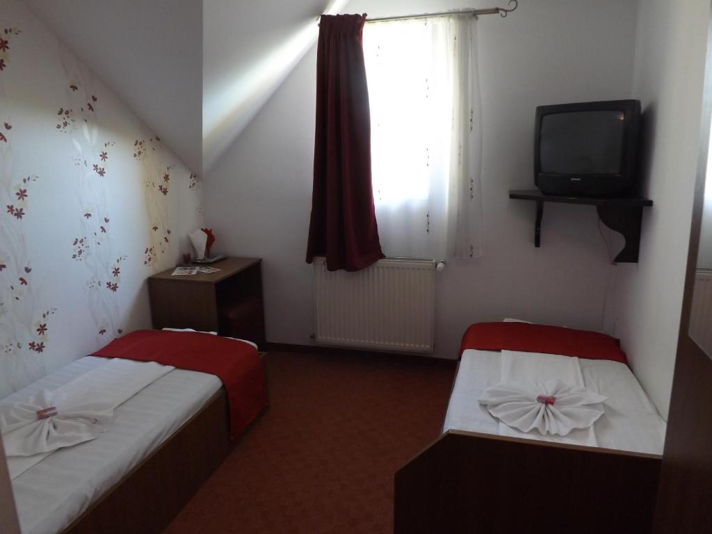 Pension La Viorel Isaila - Budget Twin Room