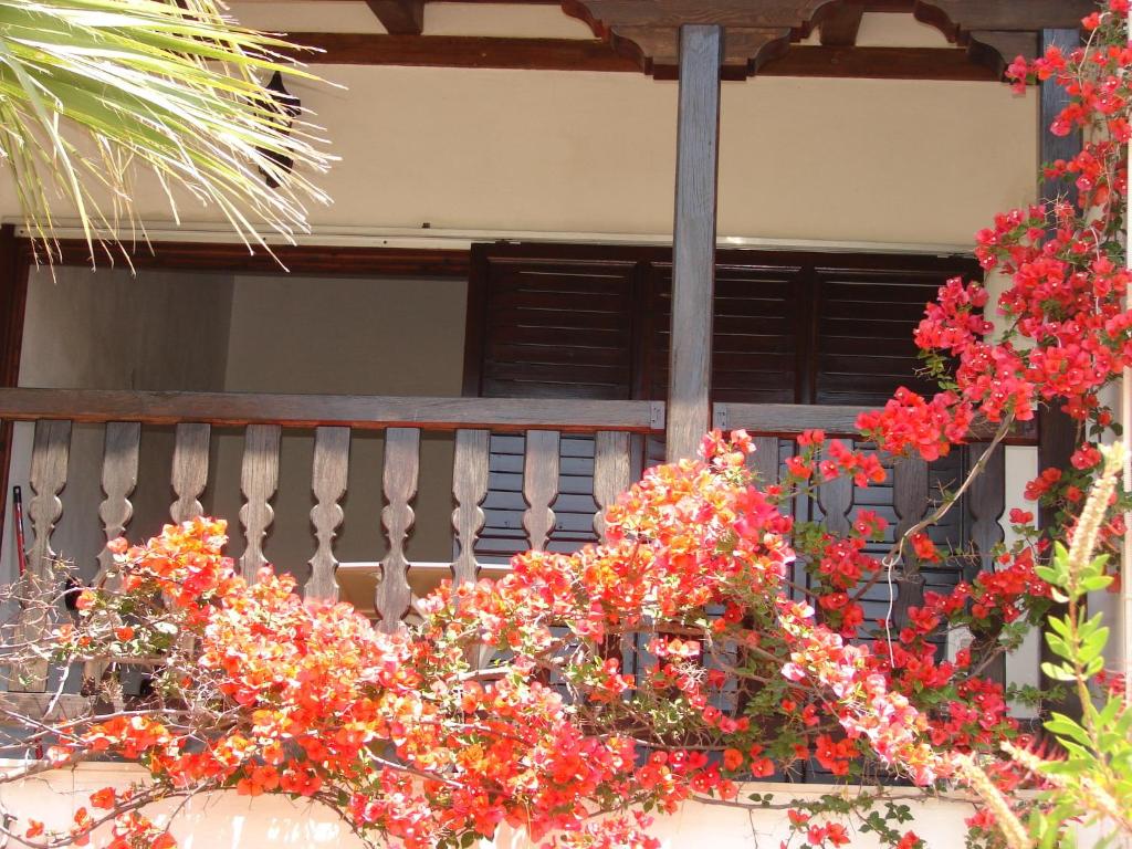 Jardin de l'établissement Villa Frideriki