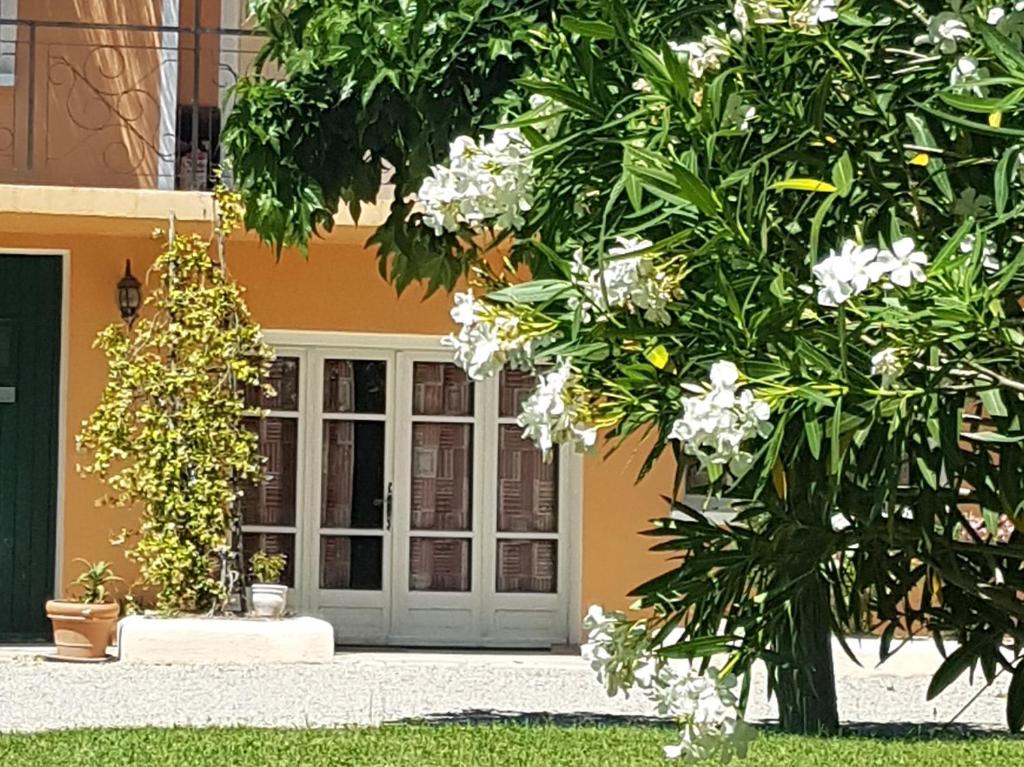 una puerta de entrada de una casa con flores blancas en La Maison Verte, en Tulette