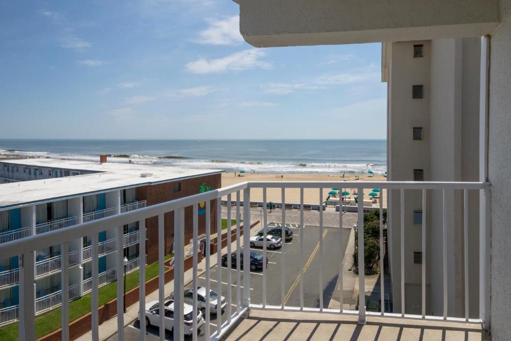 The Spinnaker - 