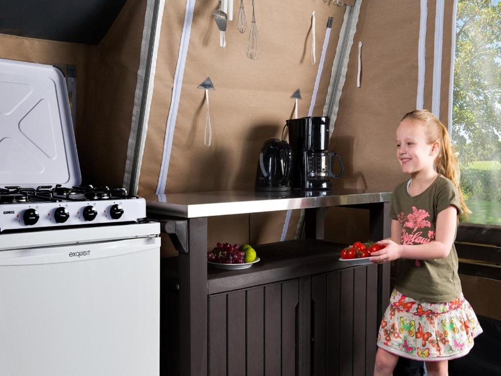 Kuchyň nebo kuchyňský kout v ubytování Country Camp camping Nommerlayen