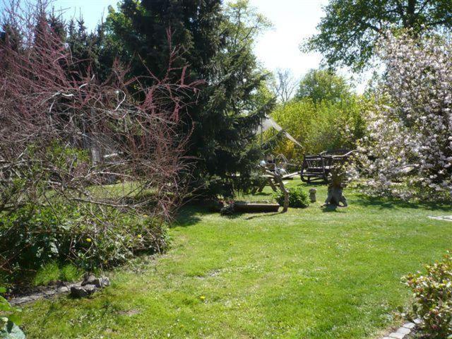 a garden with trees and grass and a bench at Pension-Drews-Ferienzimmer-3 in Grubenhagen