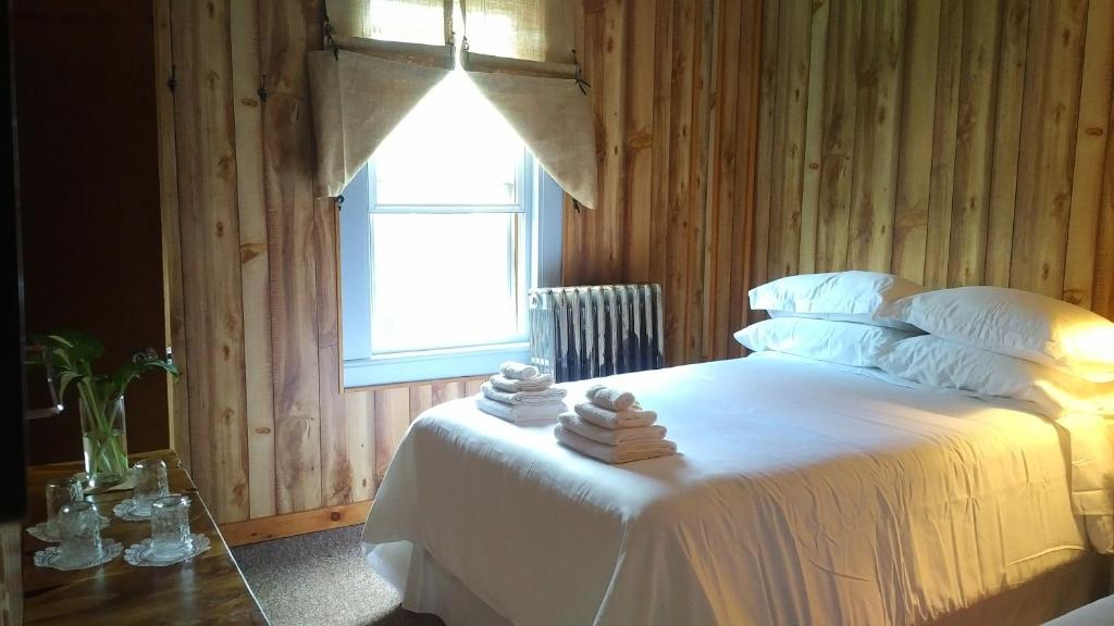 Postel nebo postele na pokoji v ubytování Pine Hill Arms Hotel