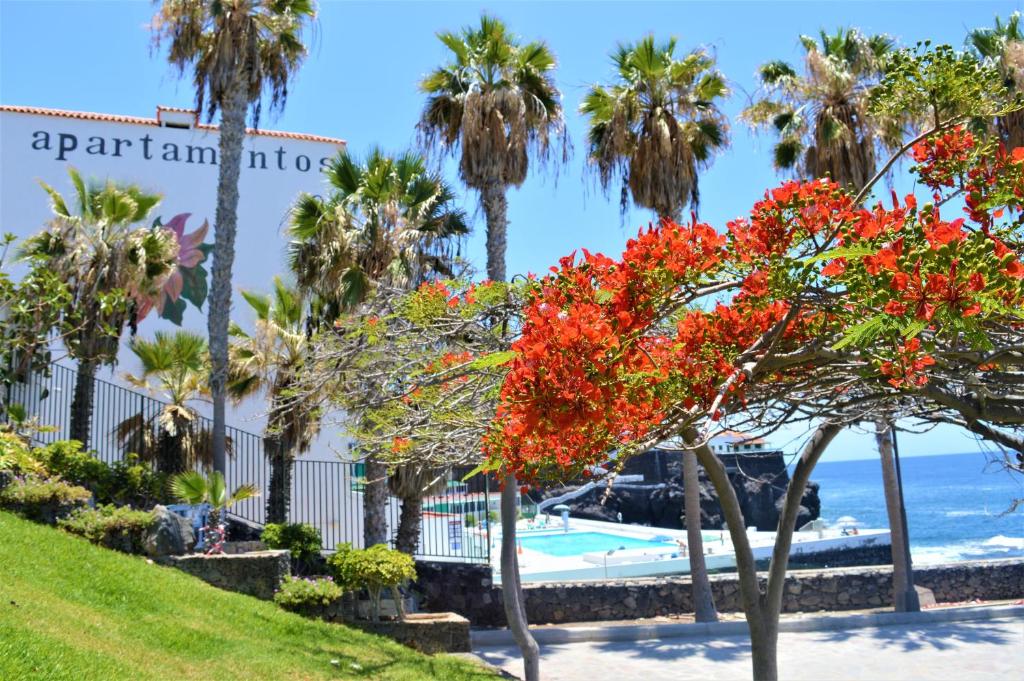 プエルト・デ・サンティアゴにあるOcean Panoramaのリゾート前の赤い花の木