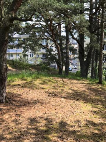 Príroda v okolí apartmánu