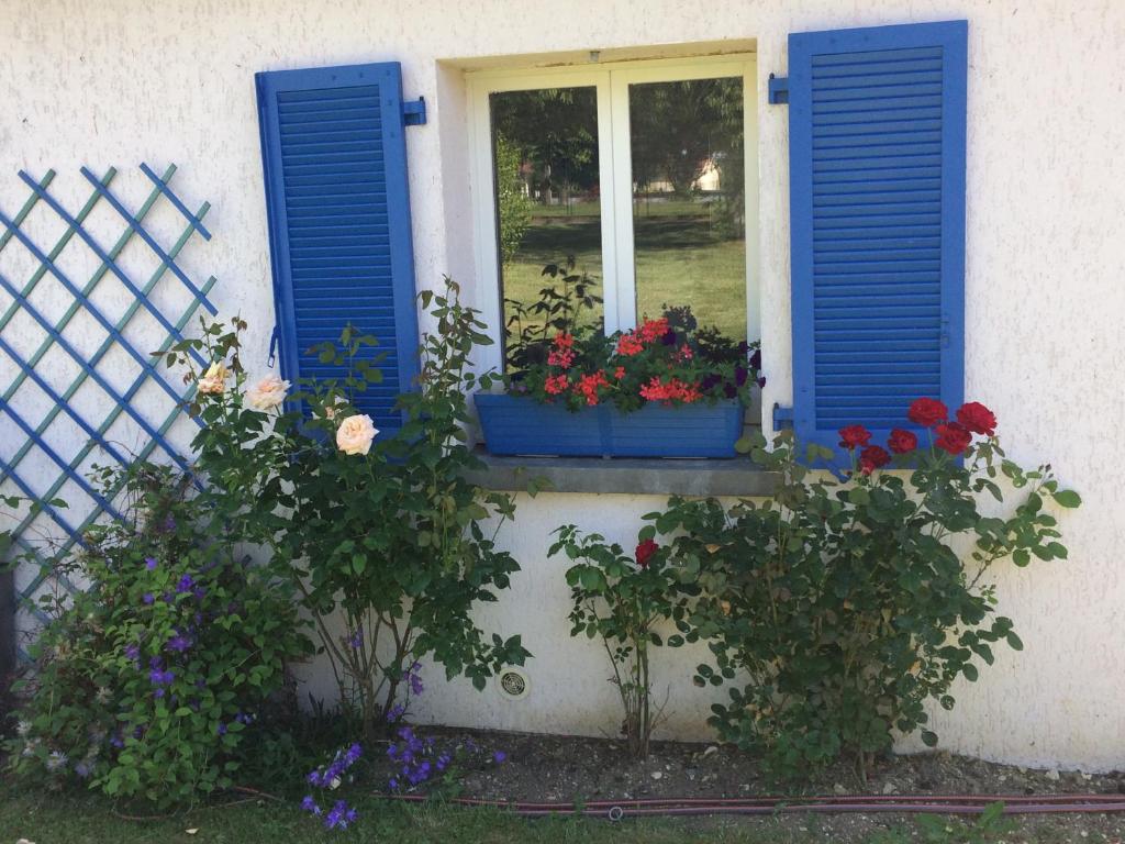 Una ventana con persianas azules y flores. en Le Bon Etage en Fresnes-en-Woëvre