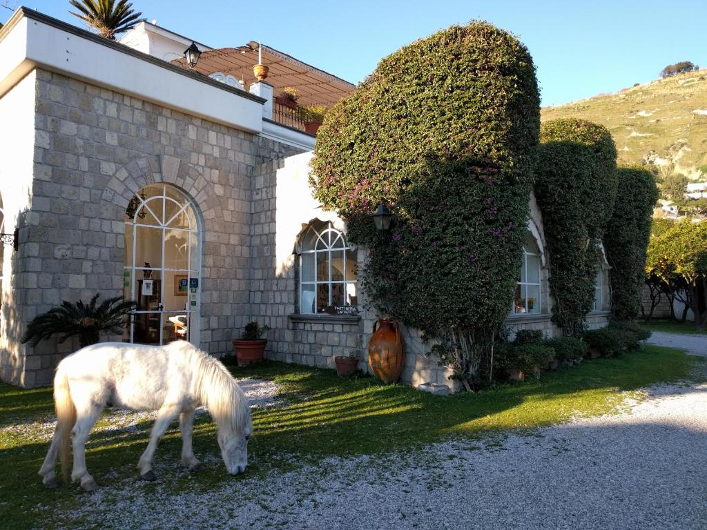a white horse grazing in front of a house at Tenuta Villa Tara in Ischia