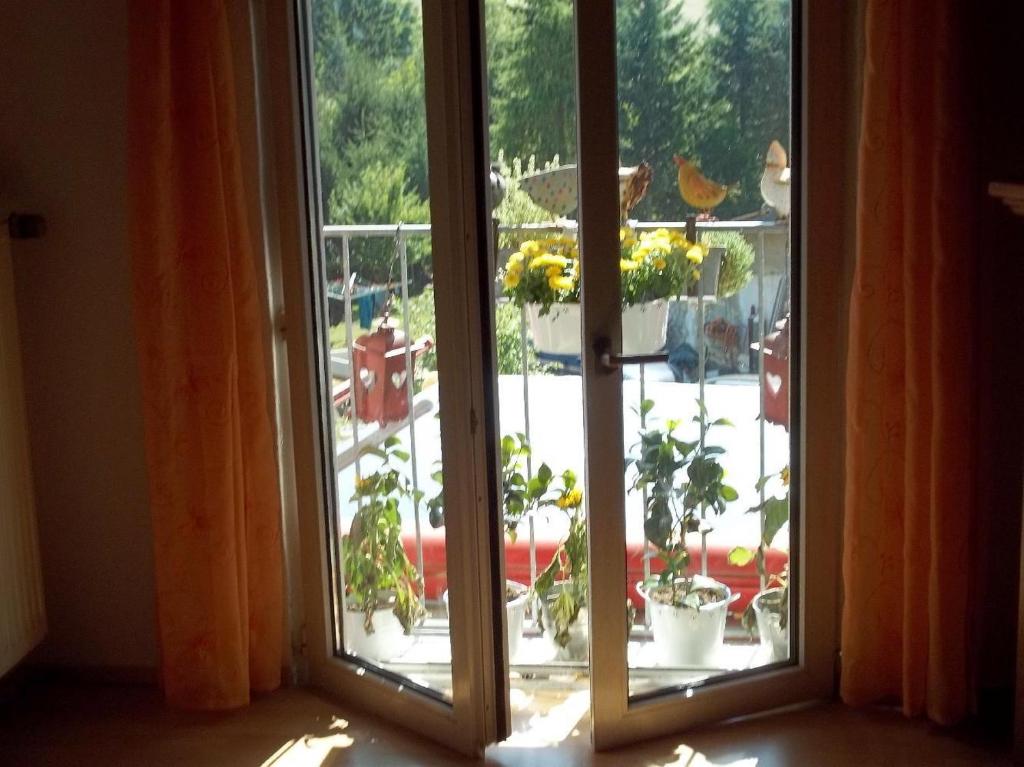 Zahrada ubytování Ferienwohnungen-Willrich-Ferienwohnung-1