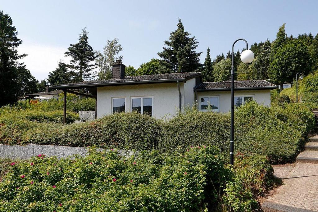 Landhaus-Wald-und-See-1 - Holiday Home