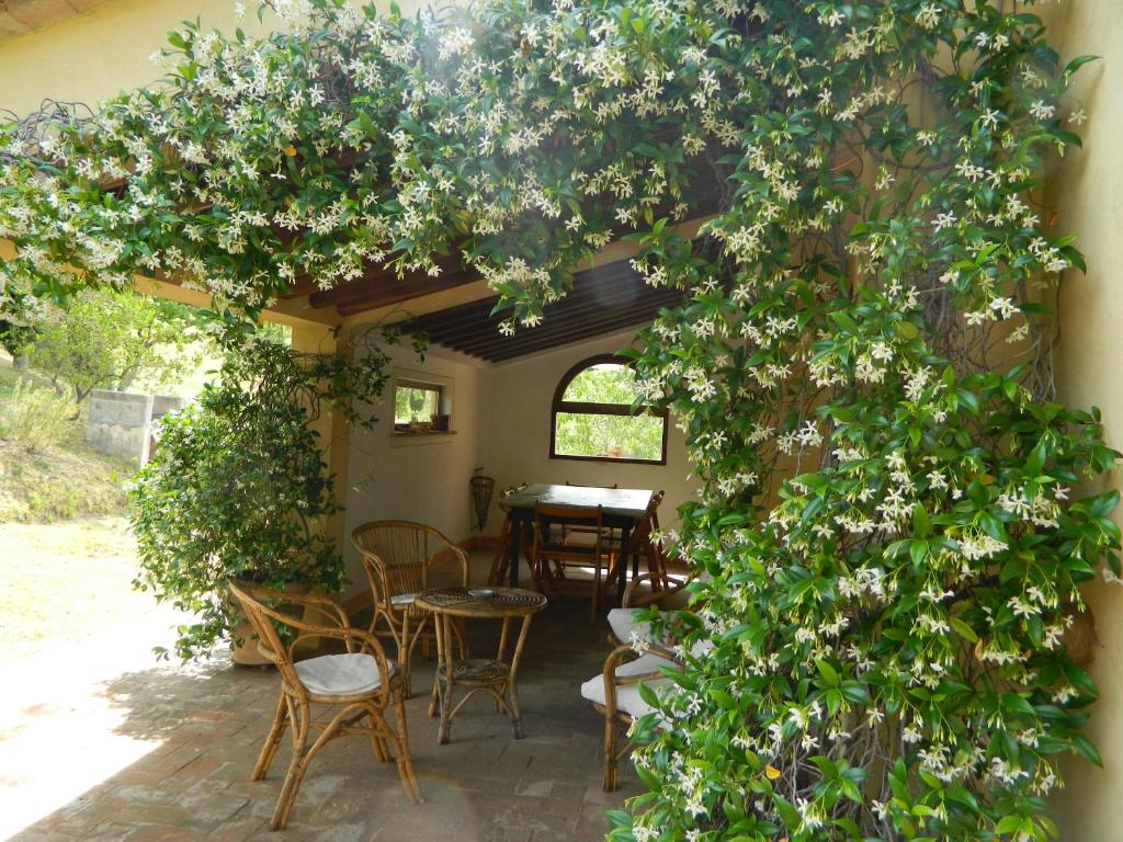 a patio with a table and chairs under a tree at Le Rogheta in Campiglia dʼOrcia