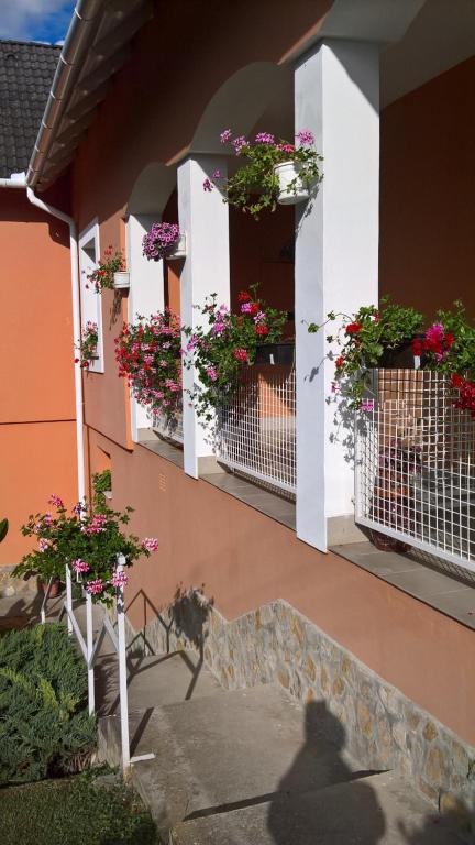 Budynek, w którym mieści się obiekt B&B