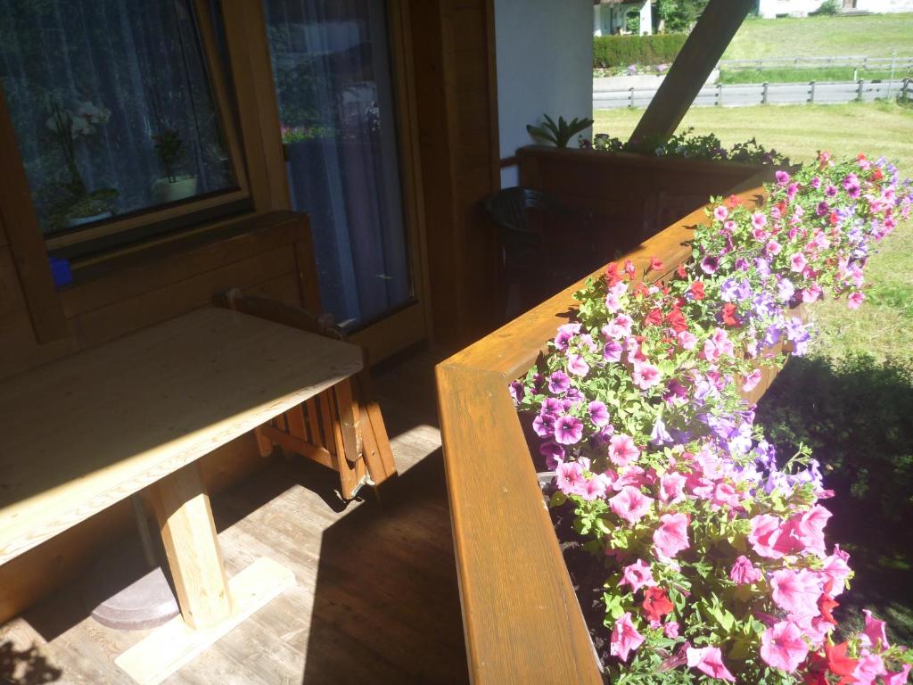 Zahrada ubytování Haus Bellis