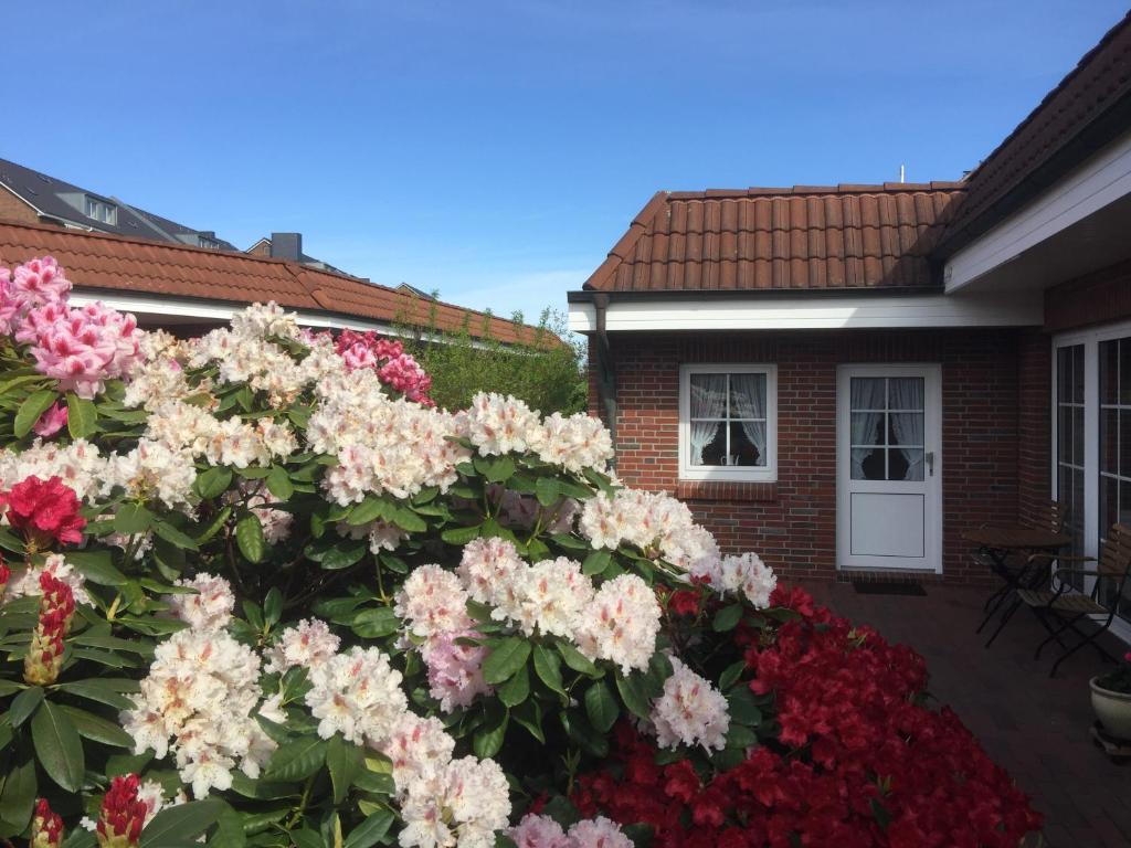 a bush of flowers in front of a house at Pension KRUSE in Büsum
