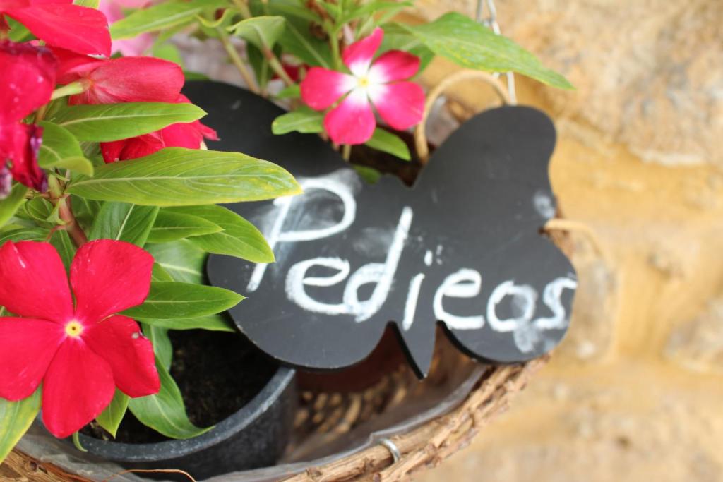 Fotografie z fotogalerie ubytování Pedieos Guest House v destinaci Lefkosa Turk