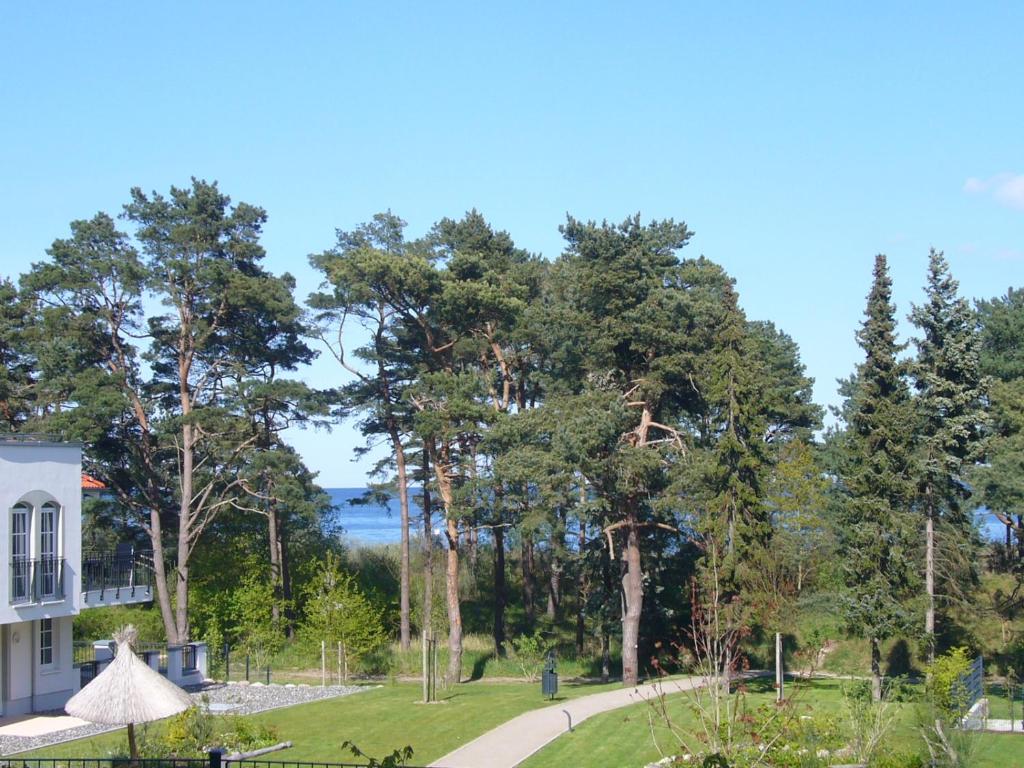 a view of the house and the trees at Meereszeichen in Baabe