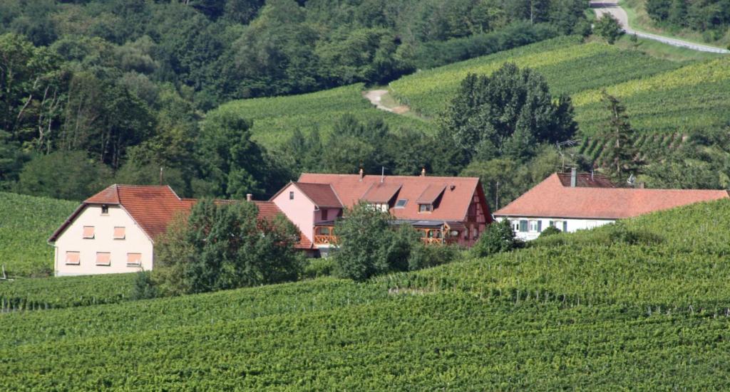 a group of houses on a hill in a field at Gite "Au cerf" in Nothalten