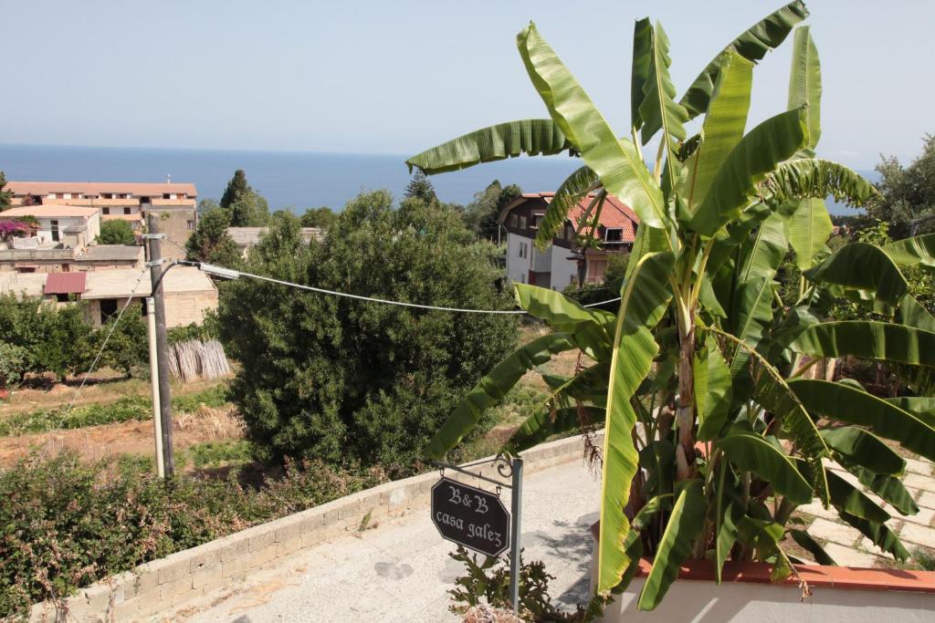 Przyroda w pobliżu tego obiektu B&B