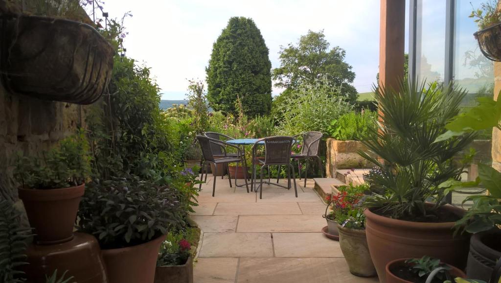 a patio with a table and chairs and plants at Thorpe Green House Vegetarian Bed & Breakfast in Robin Hood's Bay