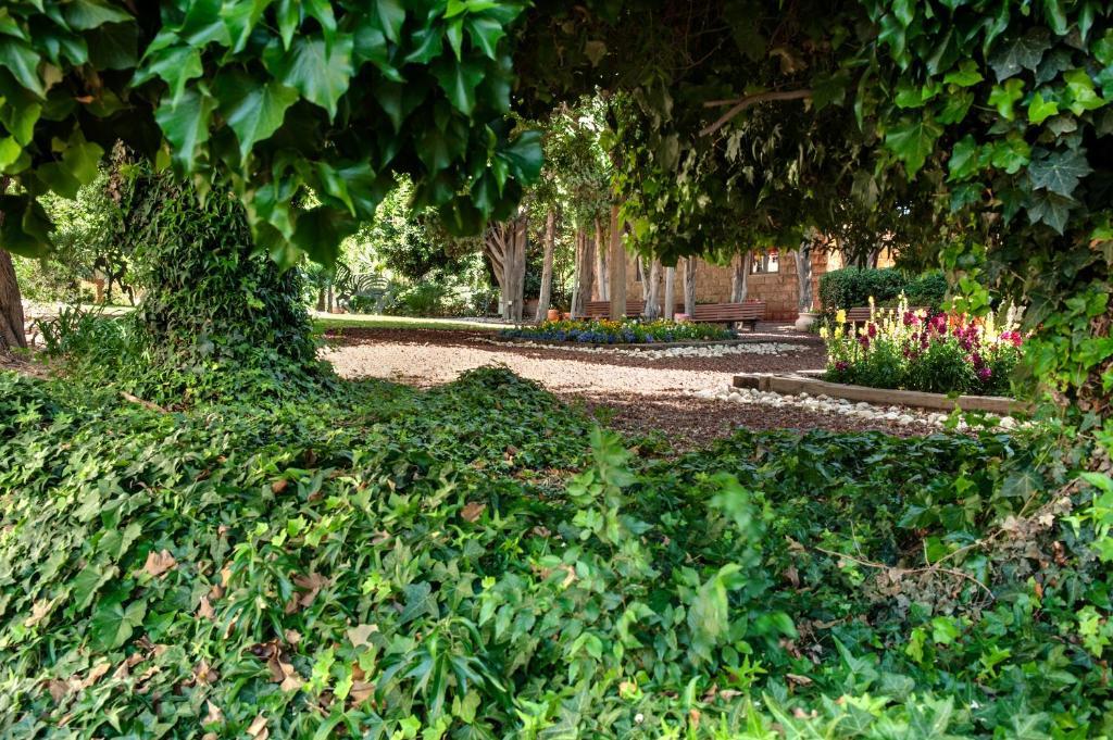Zahrada ubytování Ramat Rachel Resort
