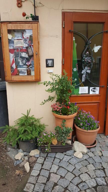 Penzion-apartmán U Johana - 18