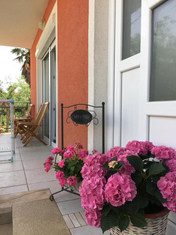 Apartments Nina - 15