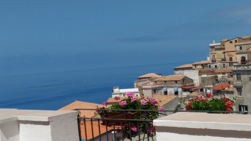 Príroda v okolí of the bed and breakfast