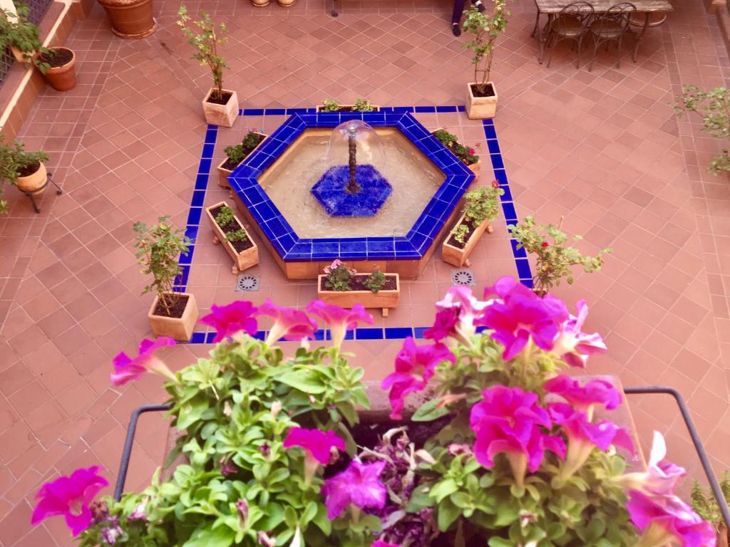 A garden outside Apartamento San Juan de los Reyes