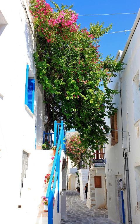 a narrow street with a tree with pink flowers at Bougainvillea House in Parikia