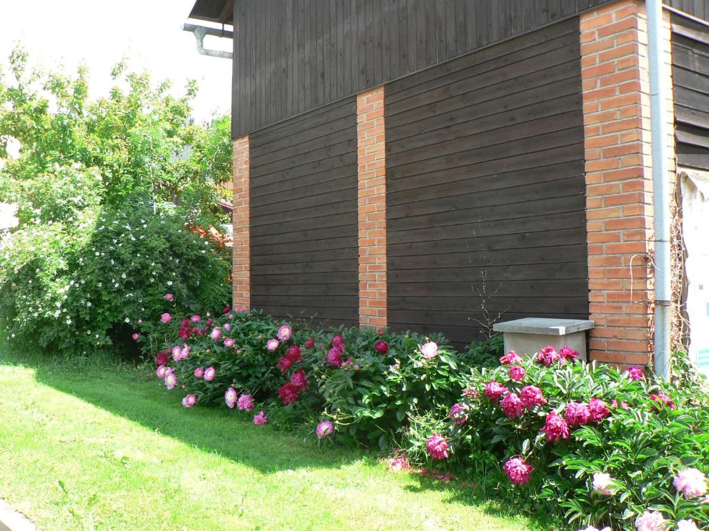 Ogród w obiekcie Guest House Pod Hájkem
