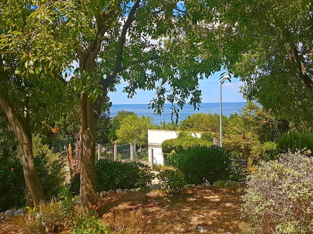 Vonkajšia záhrada v ubytovaní Apartments Dalmatia Blue