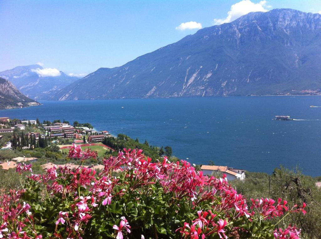 een uitzicht op een grote hoeveelheid water met roze bloemen bij Hotel Villa Margherita in Limone sul Garda