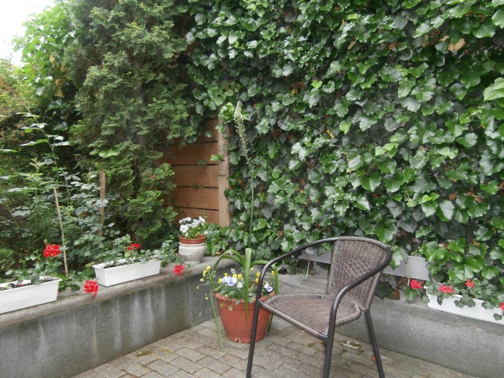 Vonkajšia záhrada v ubytovaní Apartman Ráchegy